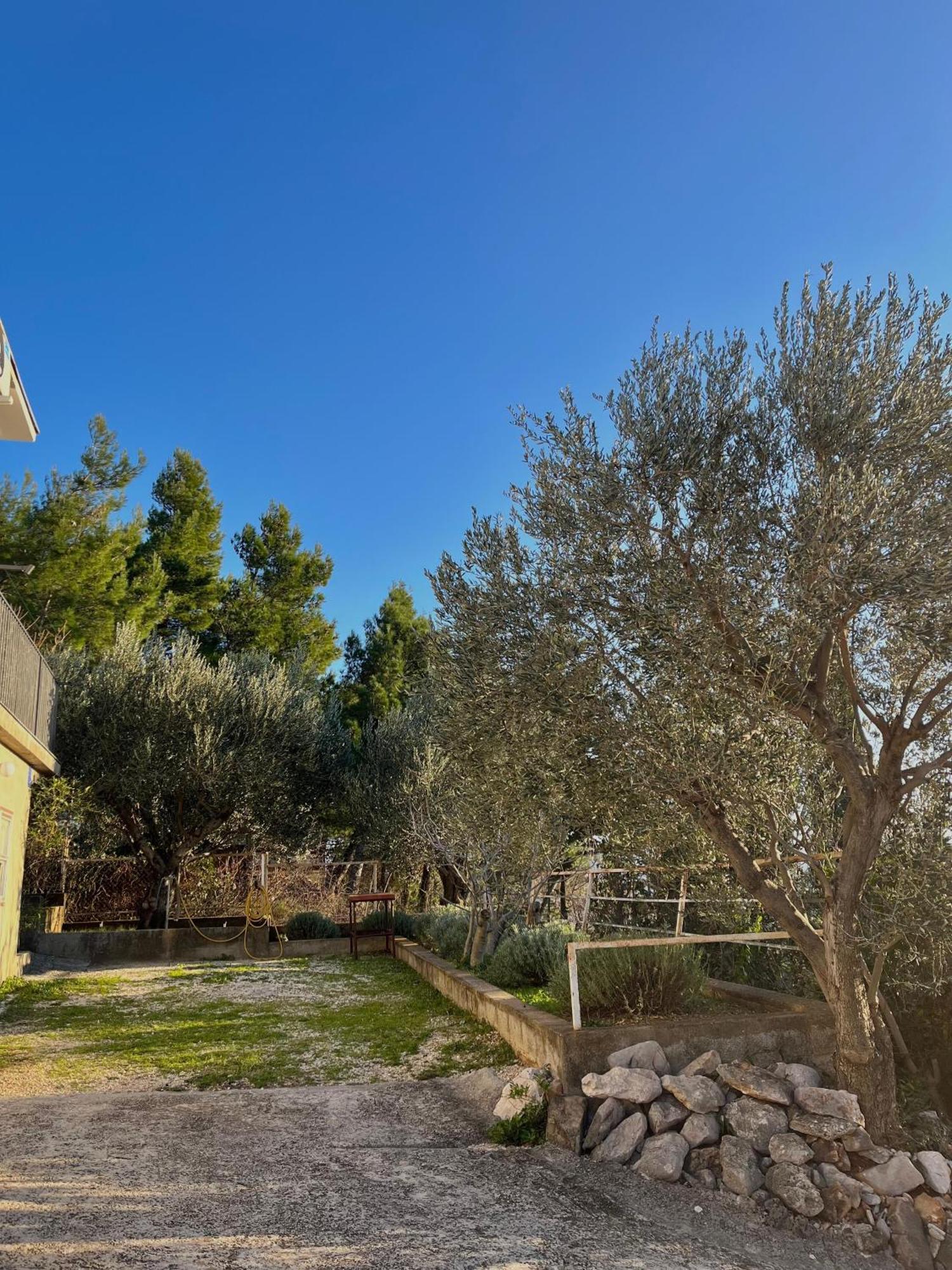 Modern Seaview House Fiore Starigrad Exterior photo
